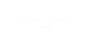 MES Skymapper